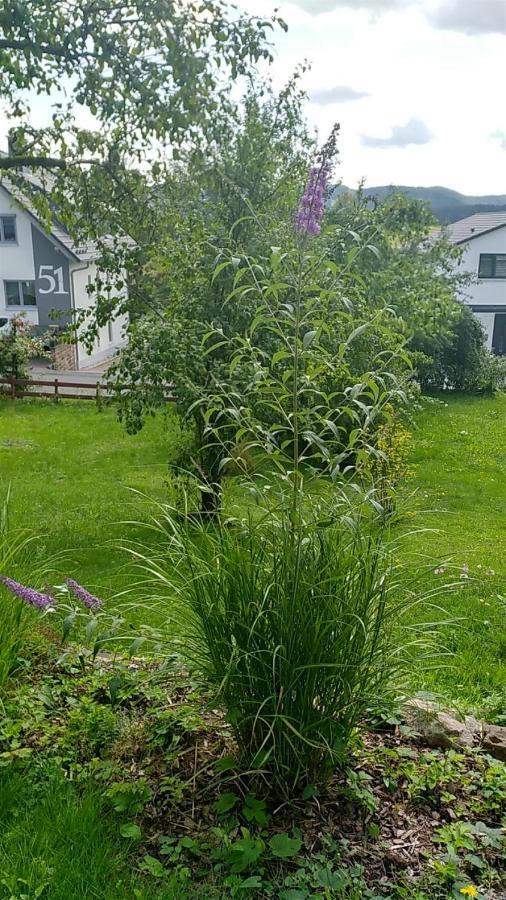 Ferienwohnung Vreni Gersfeld Εξωτερικό φωτογραφία